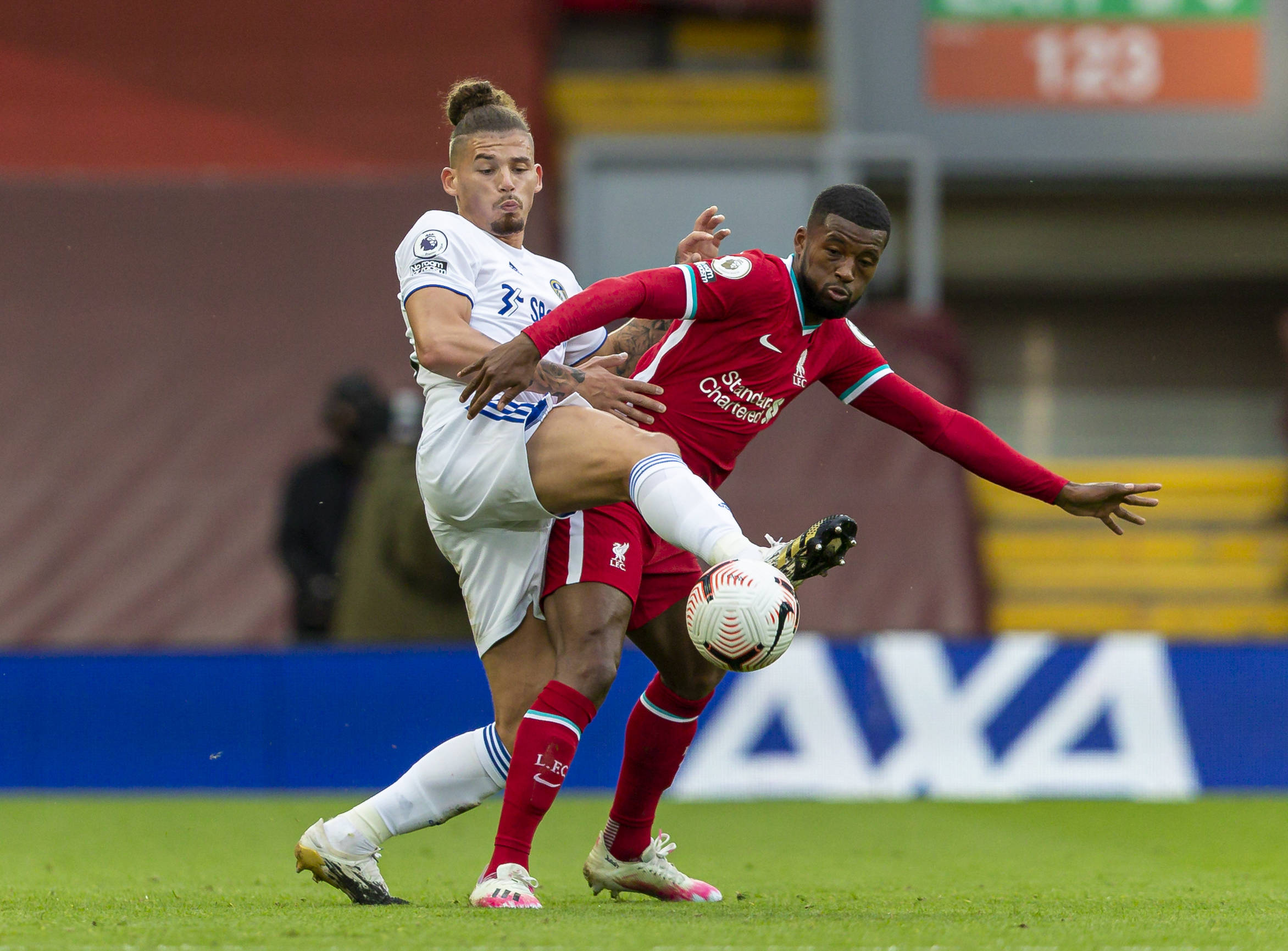 他们的无私 他们的无私